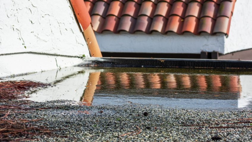 What is Ponding? Why It Happens? (How to Fix Ponding on Flat Roof ? )